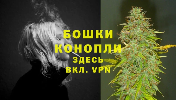 соль ск Белокуриха